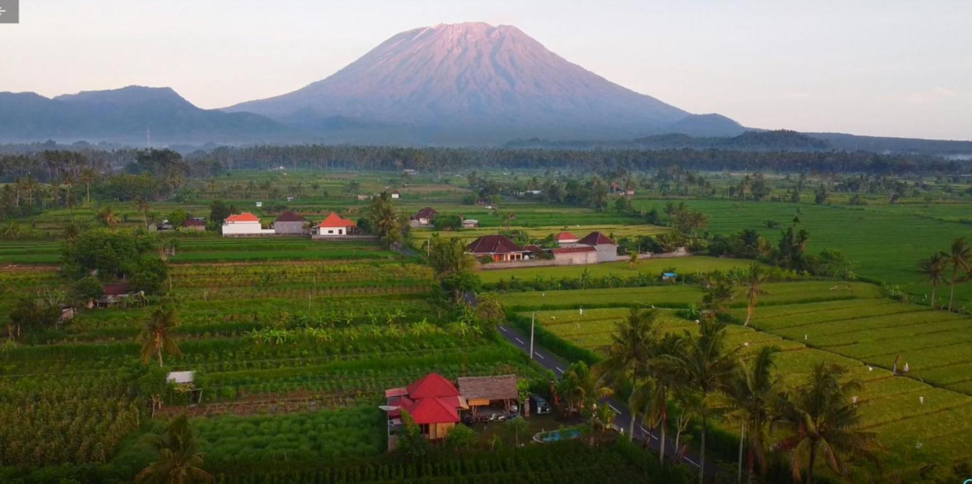 Linkeeshome Bungaya Karangasem  Luaran gambar